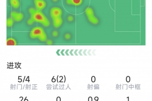 梅开二度+任意球绝平，孙兴慜本场数据：5射4正，点球大战失点